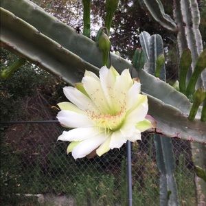 Meet your Posher, Louise